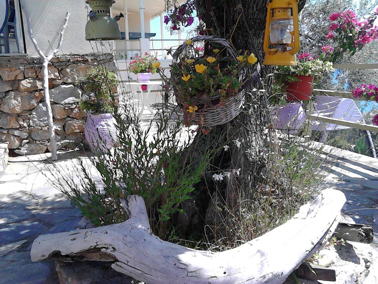 Odyssia Near The Seaside Appartement Agios Petros  Buitenkant foto